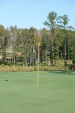 Broomsedge 4th Flag Vertical